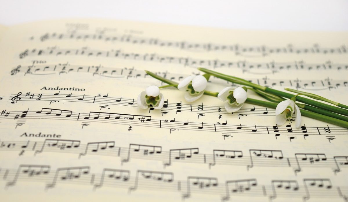 Concert Clarinette et alto