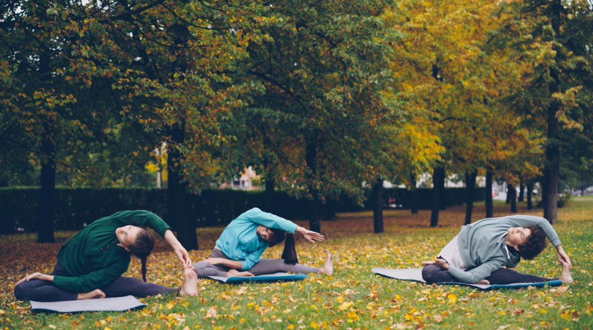 Yoga au Château Laroze