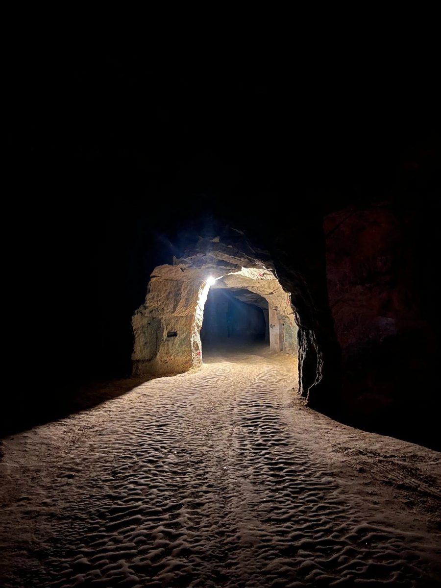 Visite-dégustation : cave troglodyte Xe siècle & millésimes d'antan