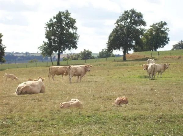 La Ferme de Tessi