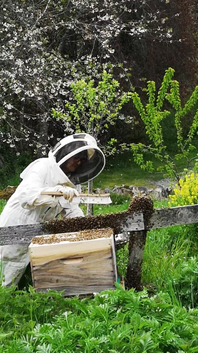 One Health - L'insecte, ce "médecin" de la terre !