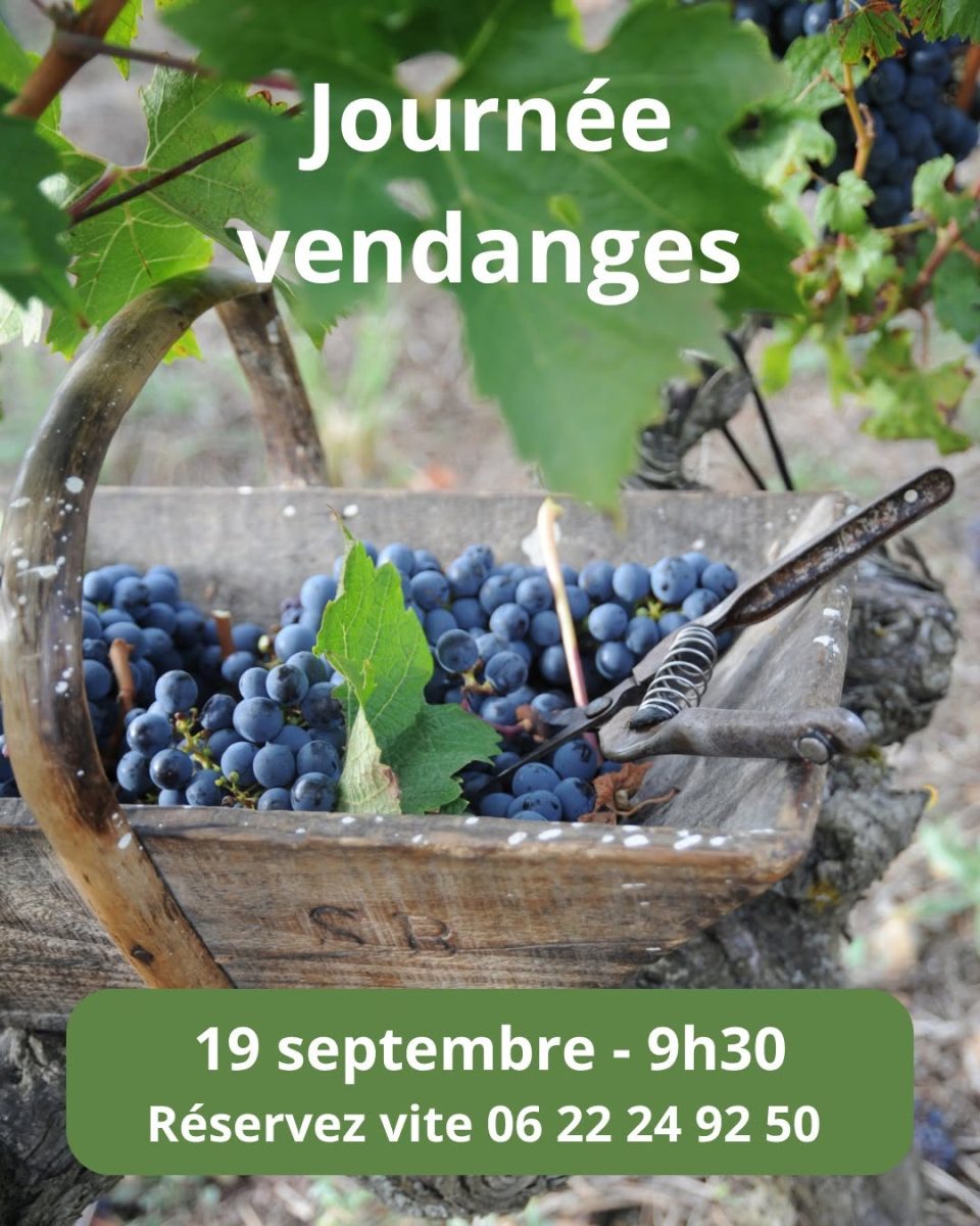 Journée vendanges au Château De La Croix (date avancée)
