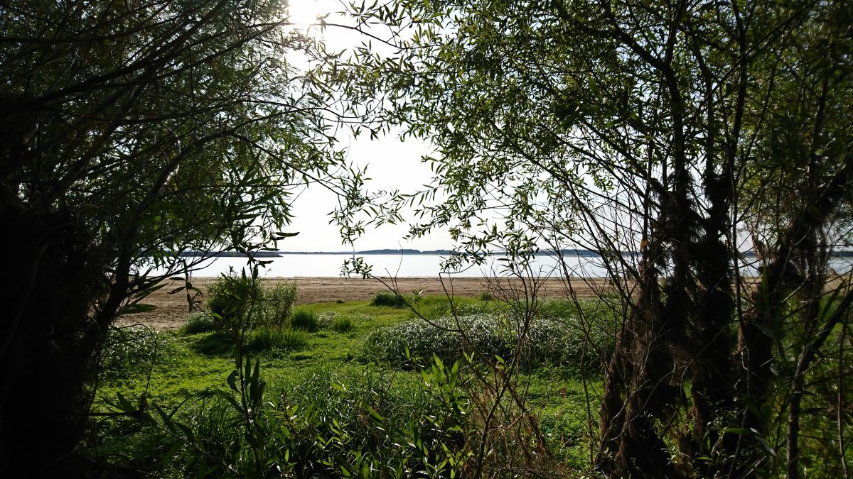 Visite nature - Balade champenoise