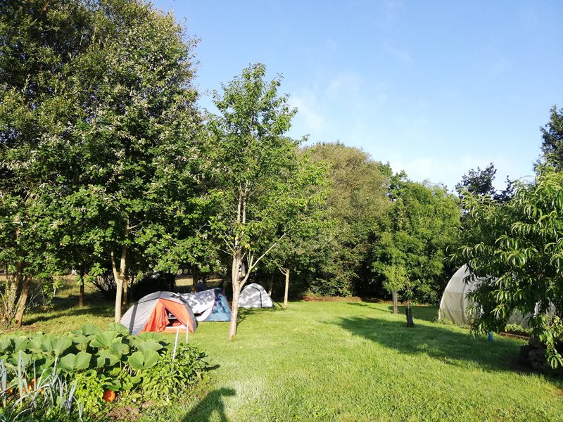 Camping chez l'habitant