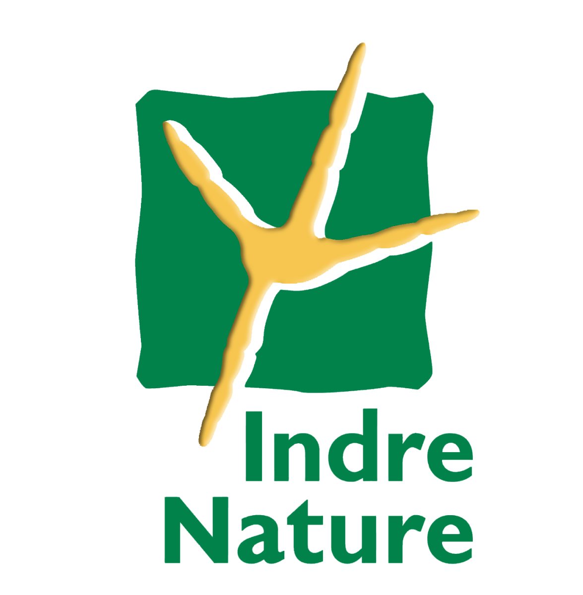 Sortie nature : Oedicnème criard