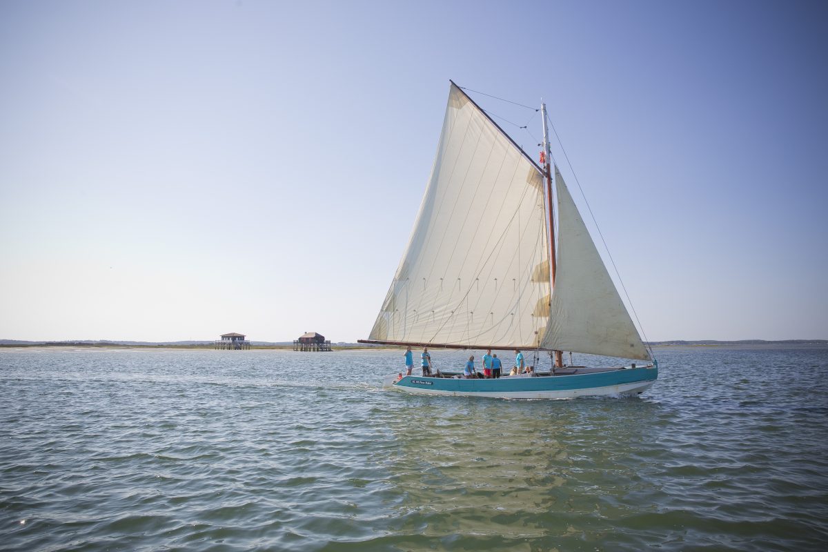 Voile