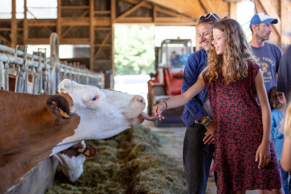 UN ÉTÉ À LA FERME - VISITE DE FERME