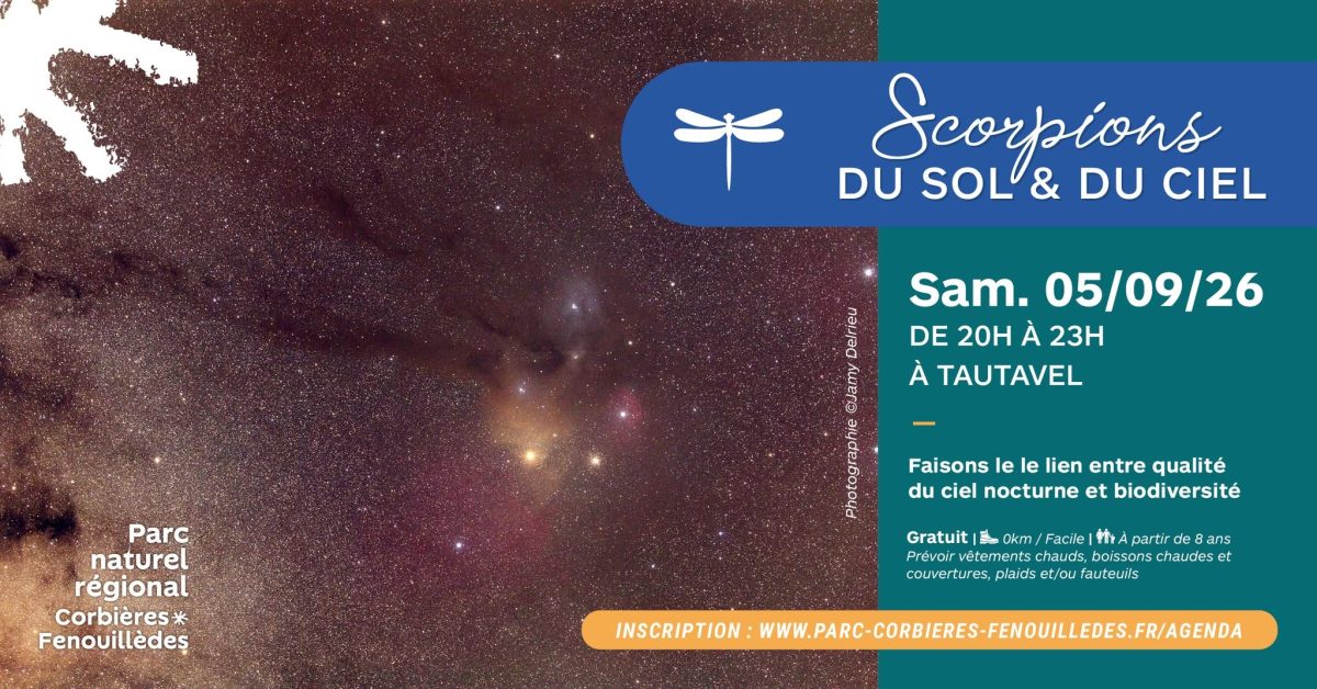 SCORPIONS DU SOL ET DU CIEL, SORTIE NOCTURNE