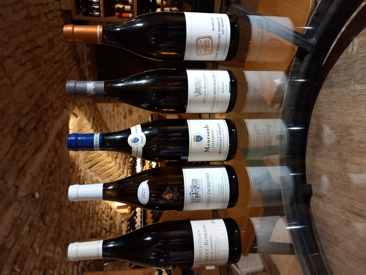 Test sensoriel autour des grands blancs...