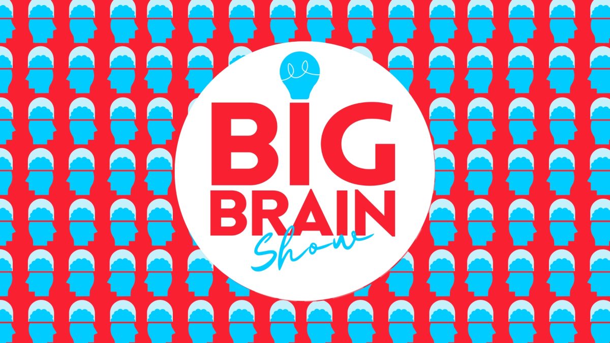 Big Brain Show #7 - Espace Noriac