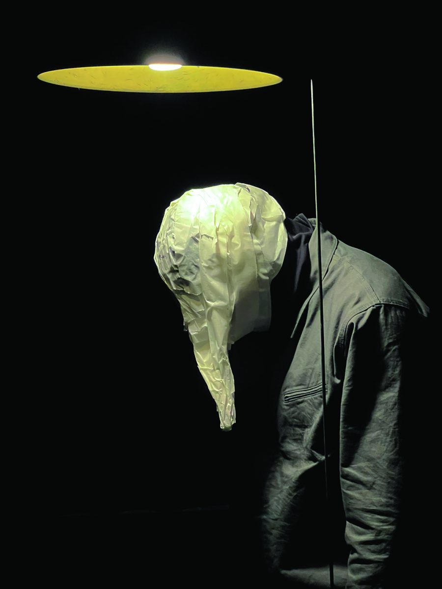 Spectacle « Insula »