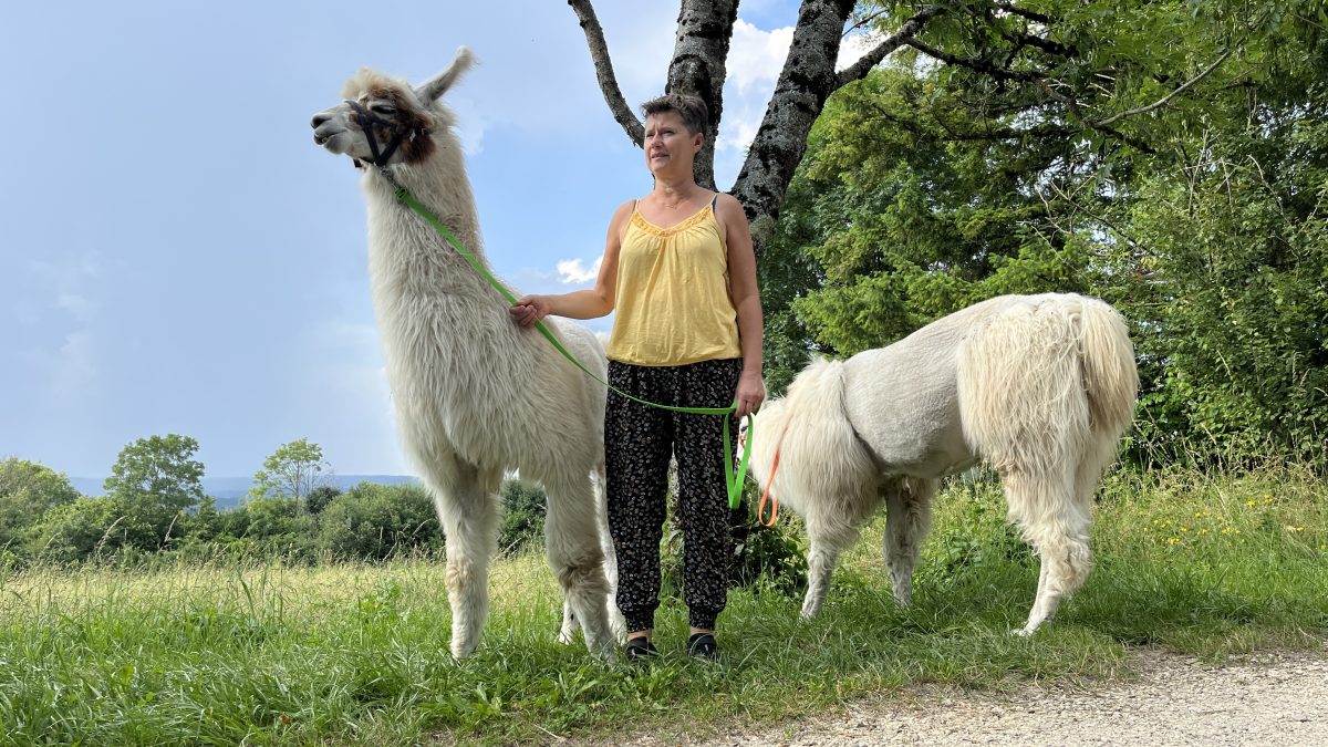 Lama Loisir BALADE