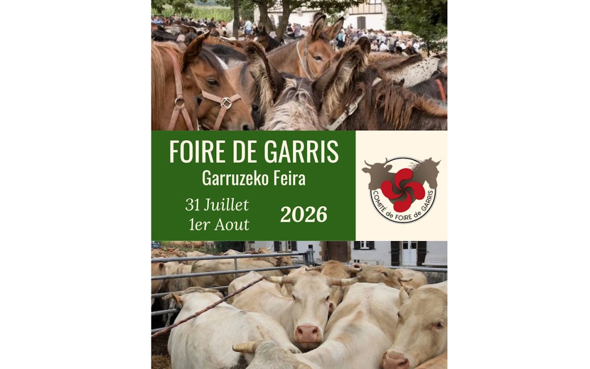 Foire aux chevaux
