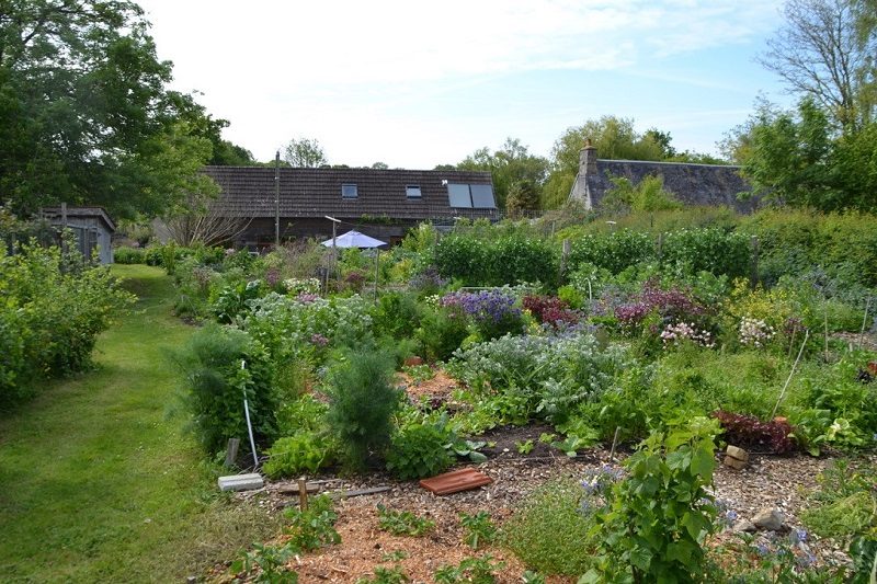 Cultiver des légumes en permaculture