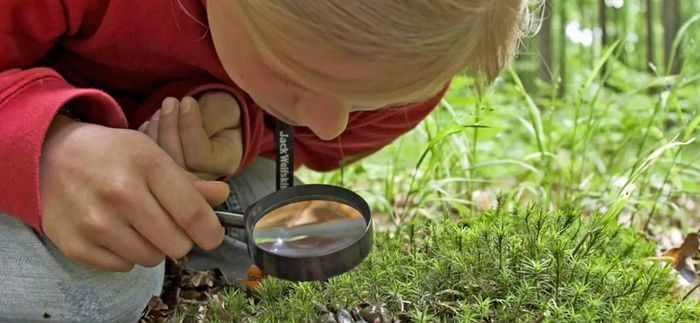 Animation nature en famille : Détectives animaliers