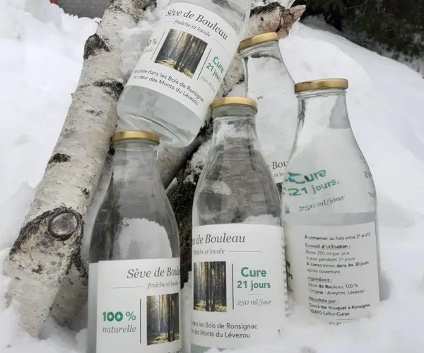 Séve de Bouleau fraîche et locale