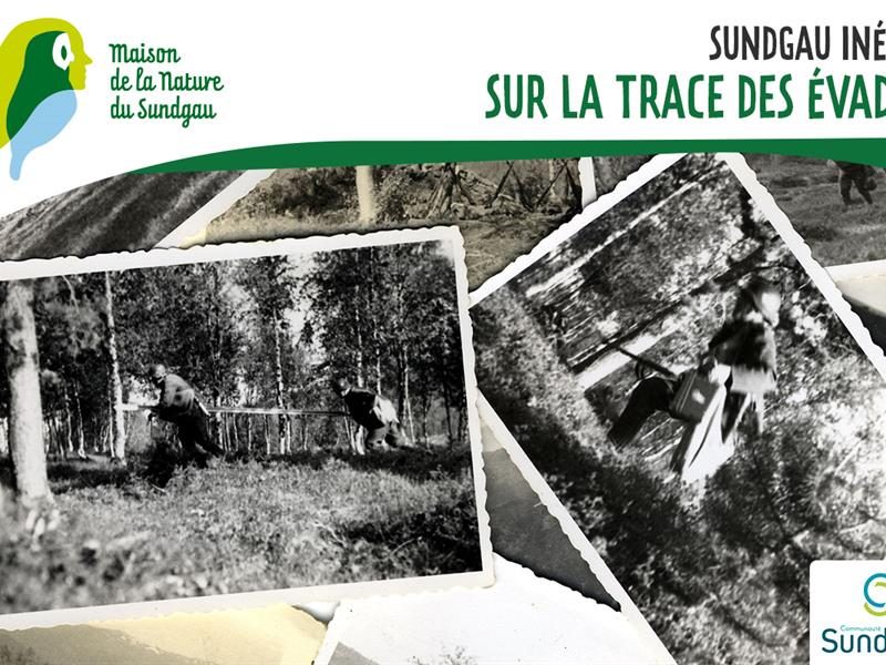 Sur la trace des évadés