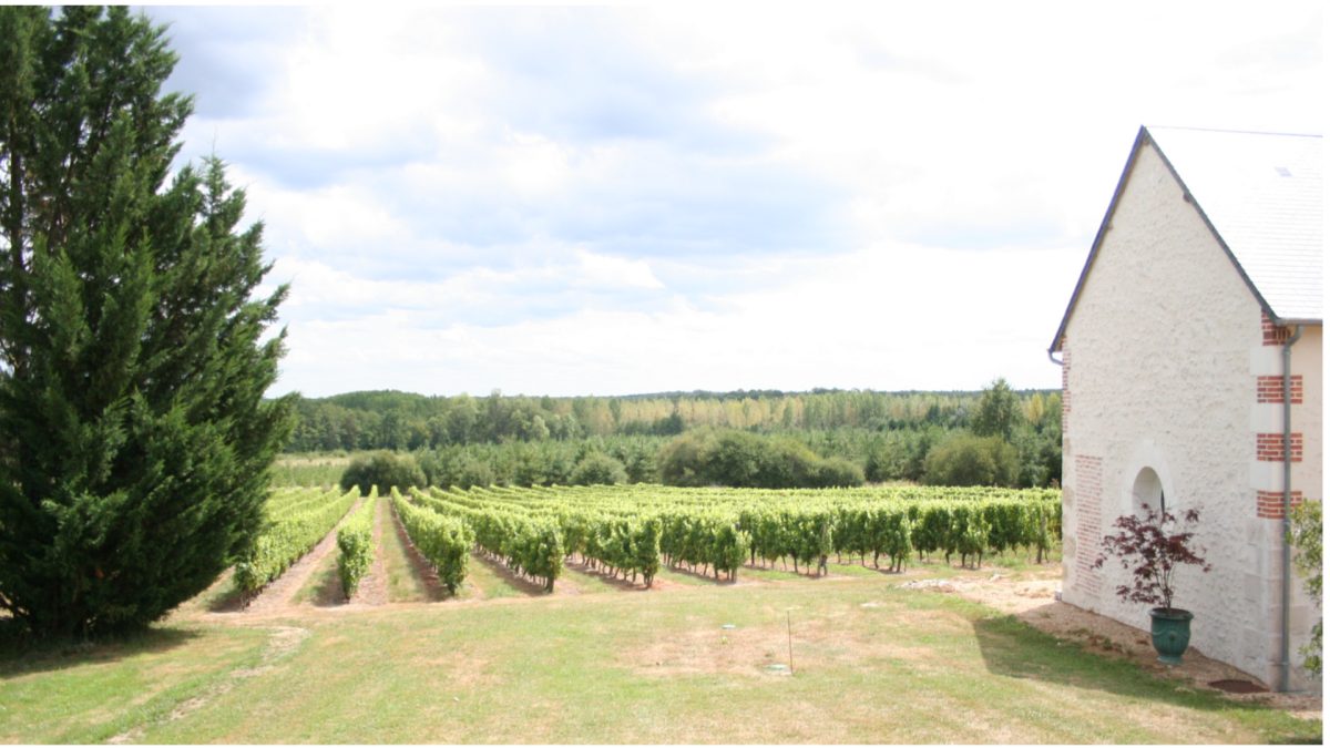 Domaine de la Désoucherie