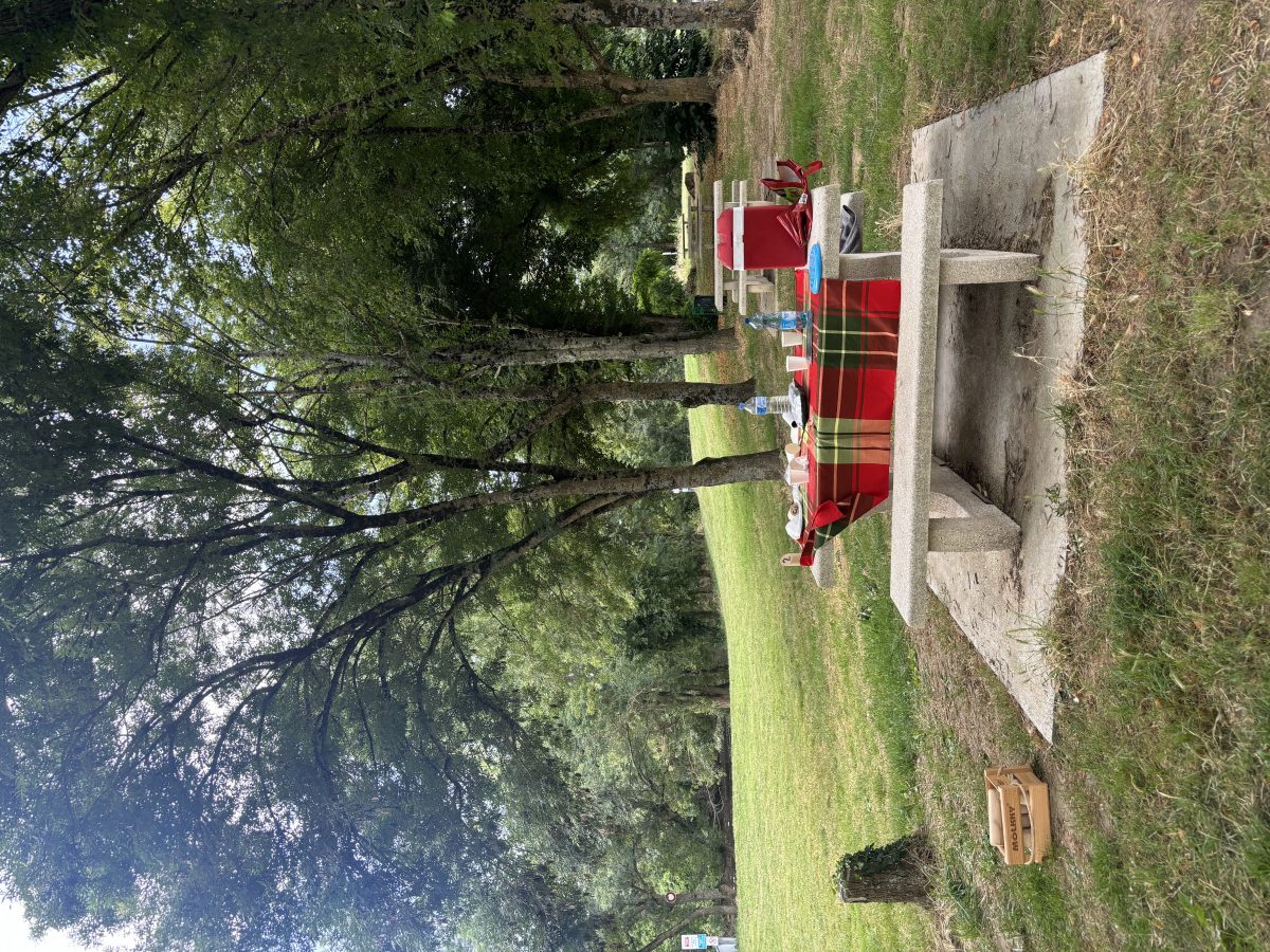 Aire de pique-nique de Lésigny-sur-Creuse