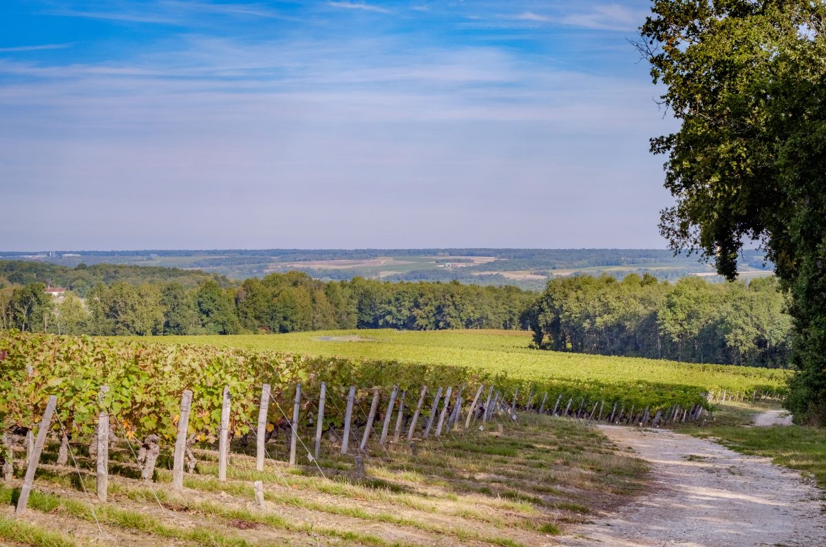 Domaine joël delaunay