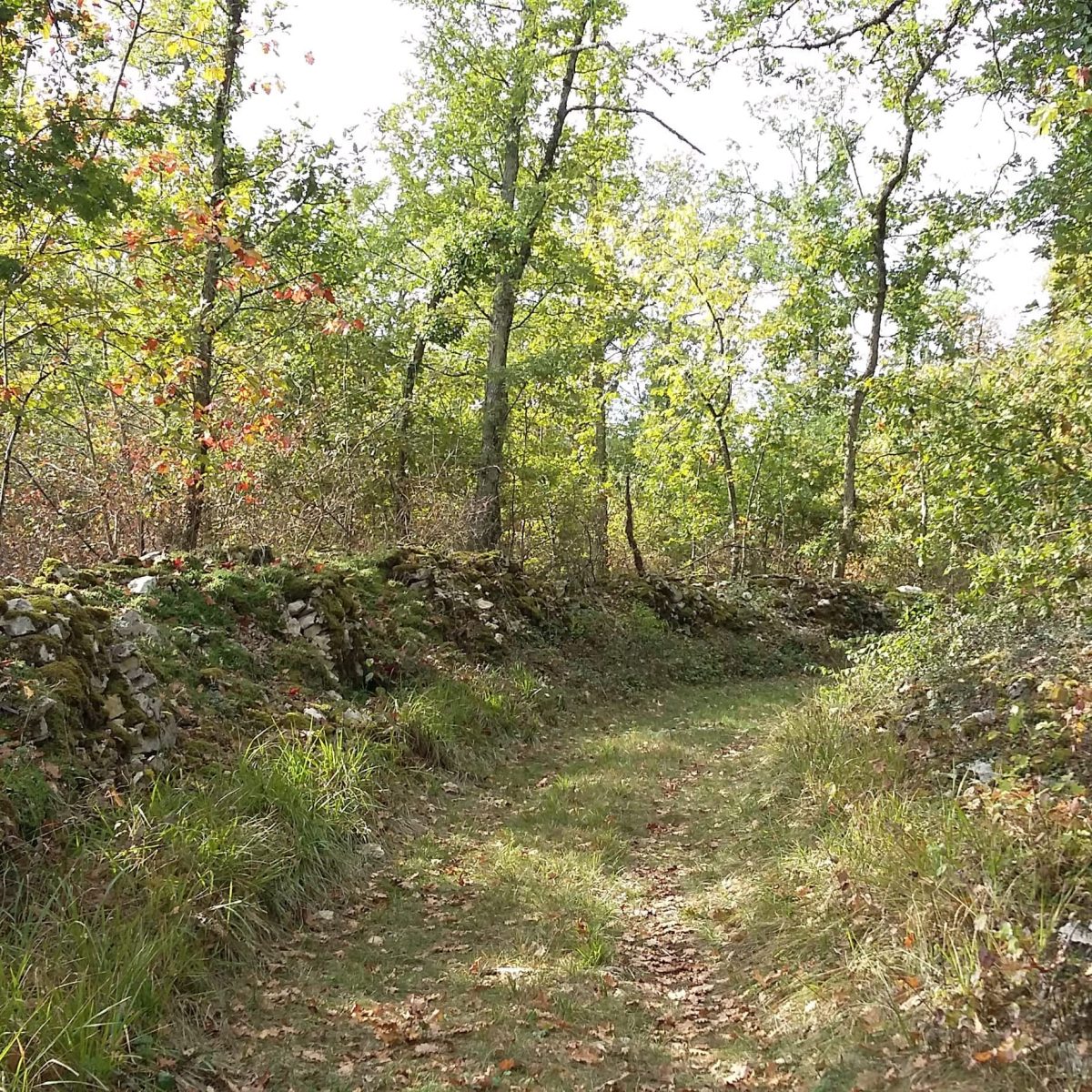 Randonnée active