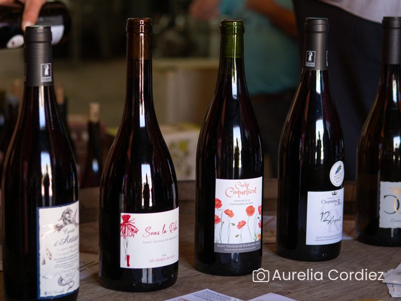 Visite-dégustation : Visite du domaine aux origines de l'appellation