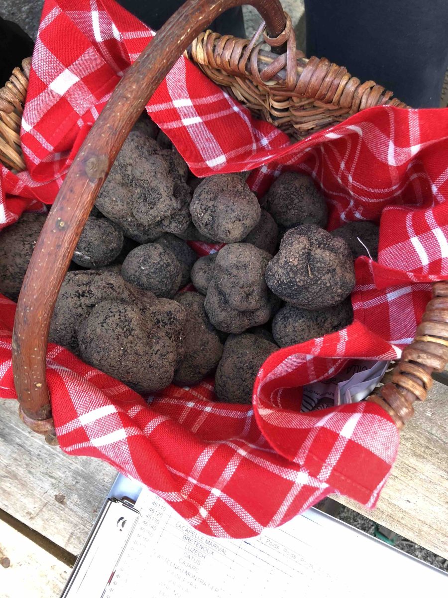 Truffes Noires de Montcuq