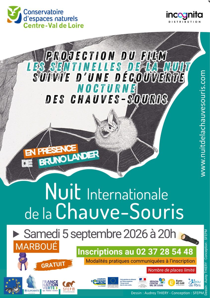 Soirée à la découverte des chauves-souris