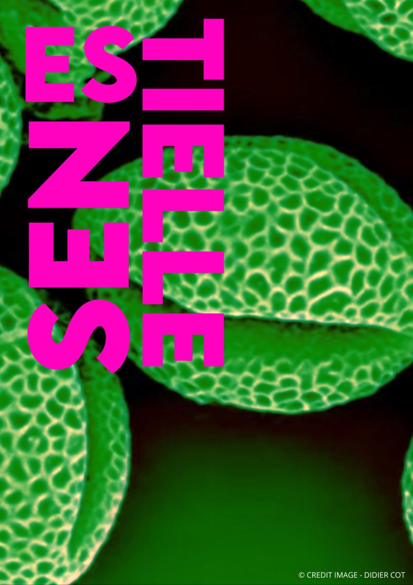EXPOSITION ESSENTIELLE - LA NATURE PAR LES SENS