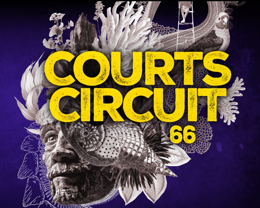 COURTS-CIRCUIT 66