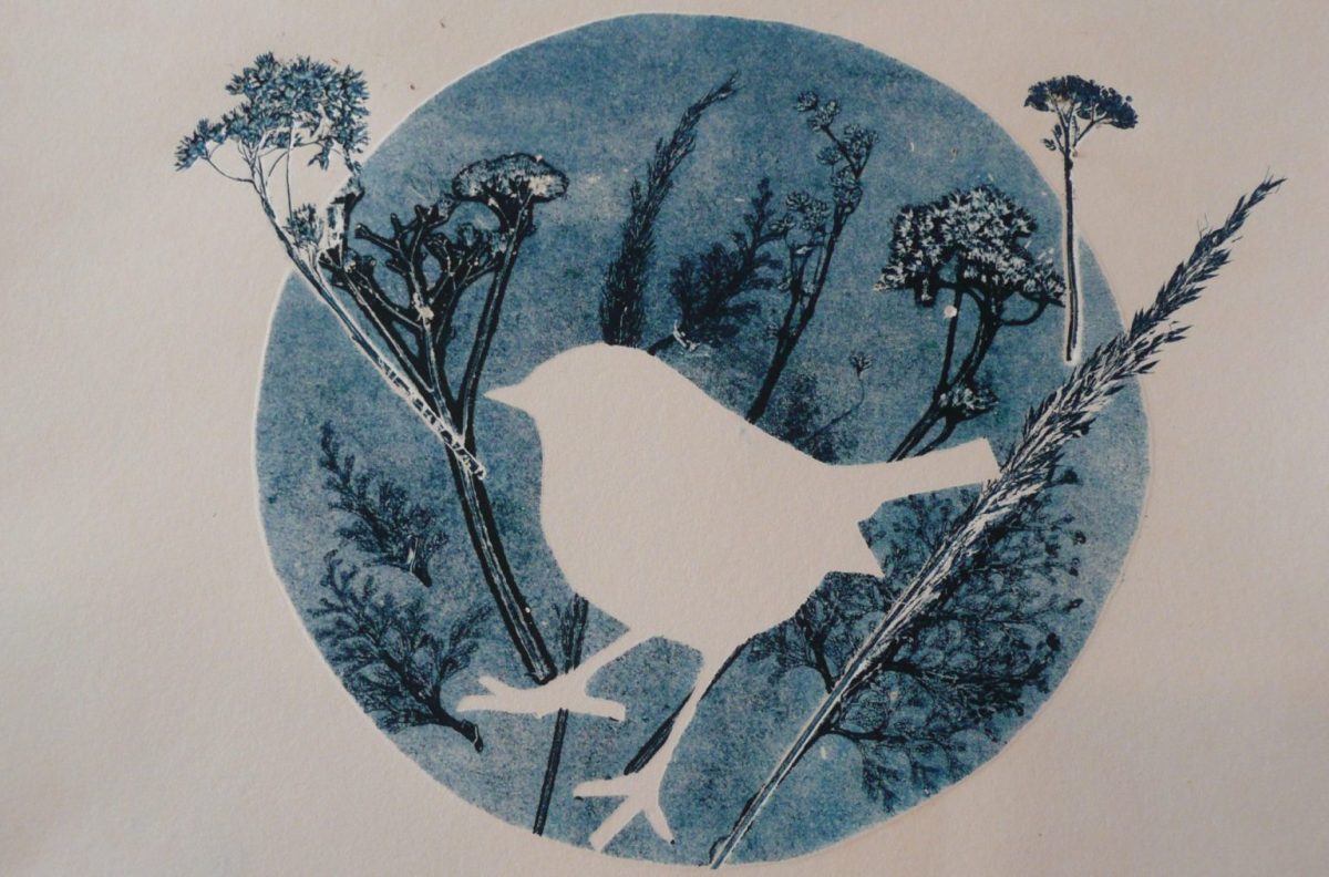 Initiation Monotype - Stage de 3h à partir de 6 ans