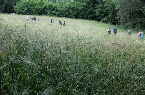 La tournée de Lucien le Garde Champêtre