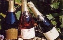 Champagne Hervé Hudelet