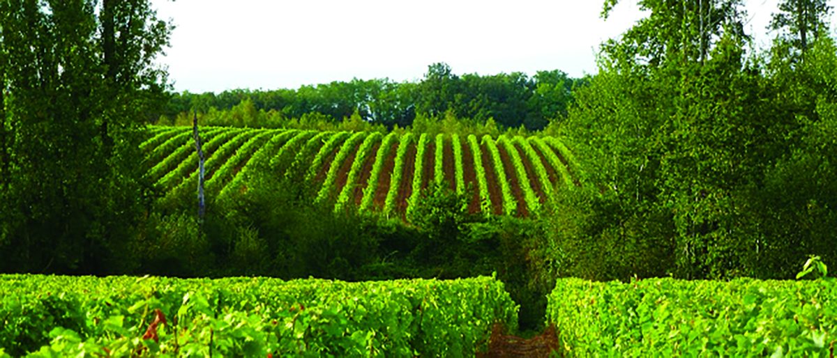 Domaine de la renaudie