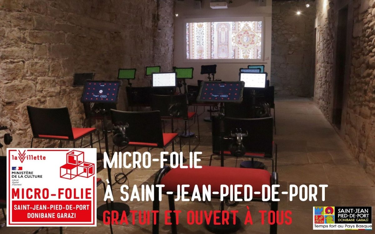 Micro-Folie - visites guidées "Monuments photographiés : Promenades au Château de Blois"