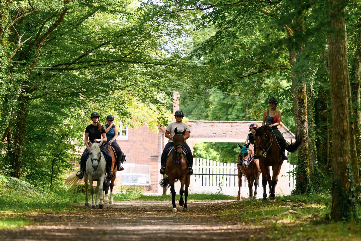 Randonnée à cheval
