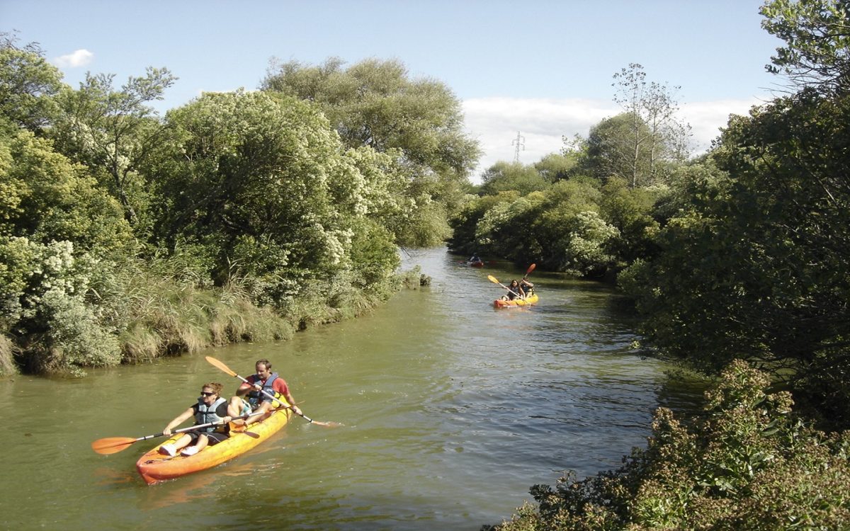 Canoë sur Nivelle