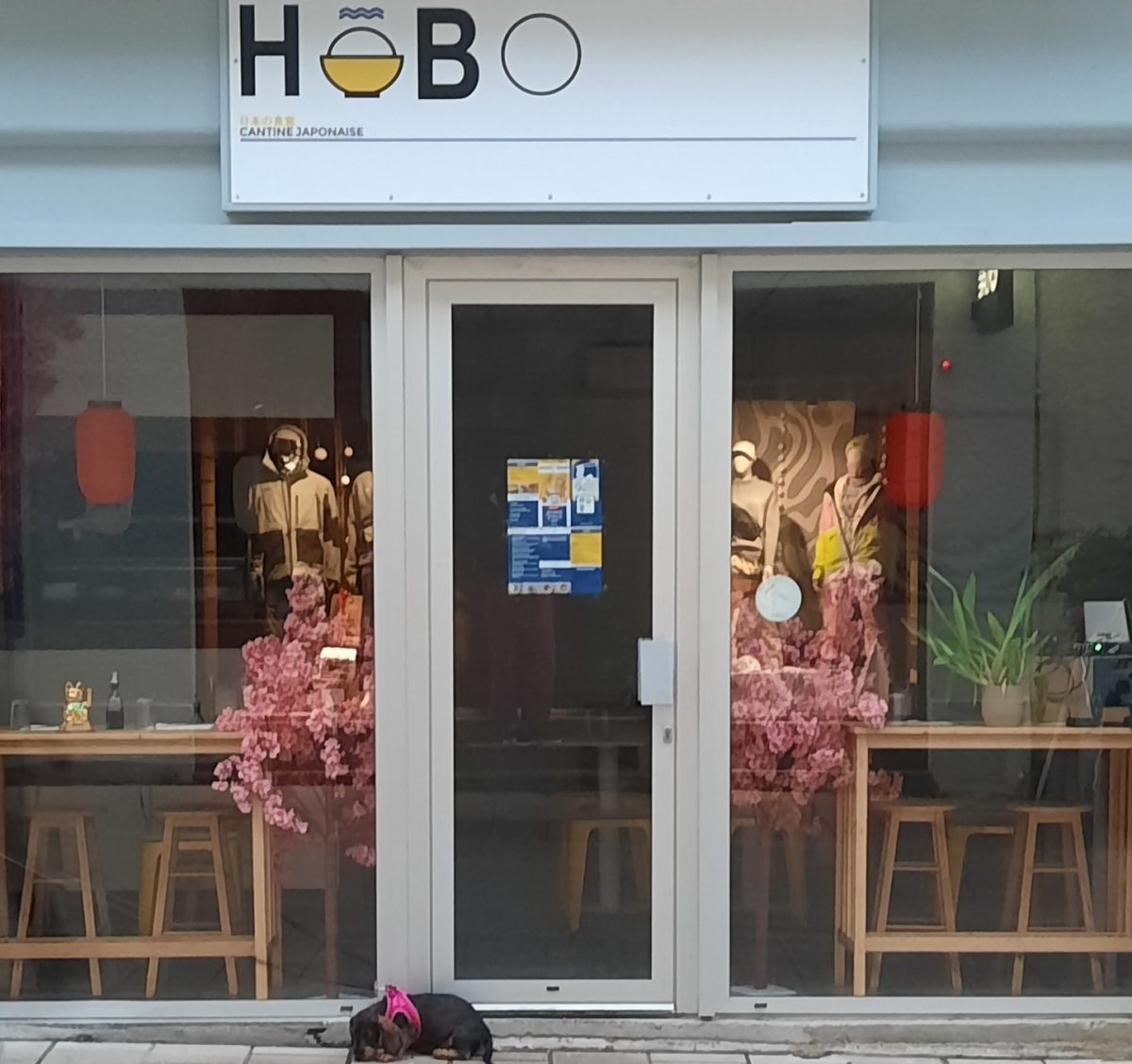 Hobo