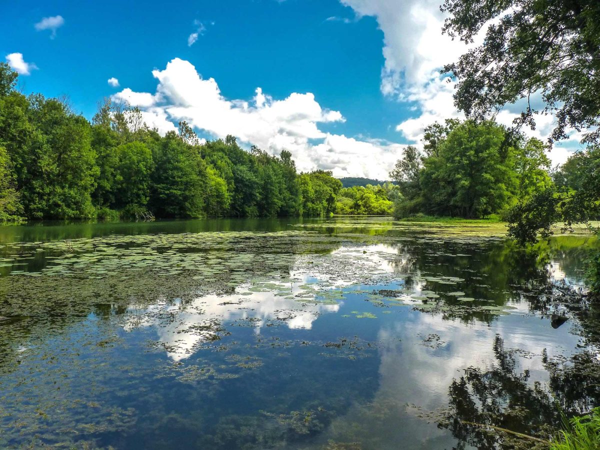 Le Marais de Saône