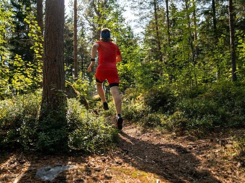 Trail du Fleckenstein