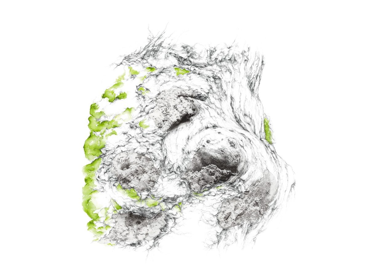 Dessin, Mathilde Wolff & photographie, Jérôme Pérez - art contemporain