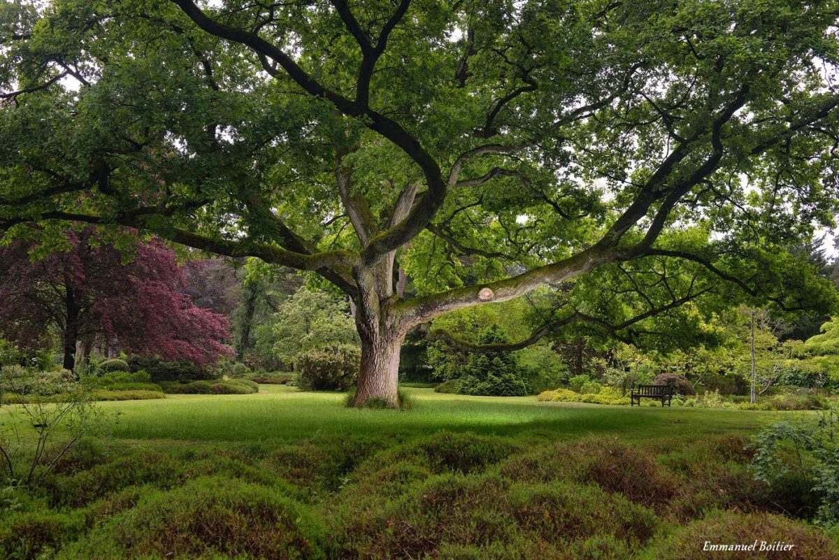 Journées européennes du patrimoine à l'Arboretum