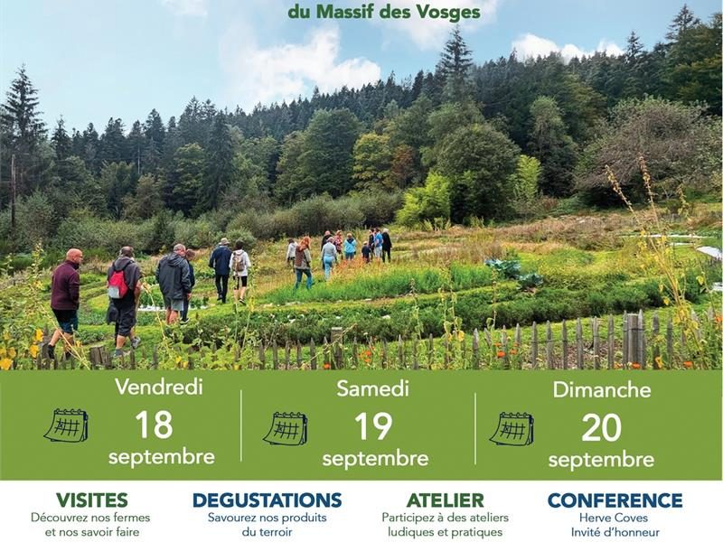 Les petites bébettes du jardin d'chez 'Sauvages'