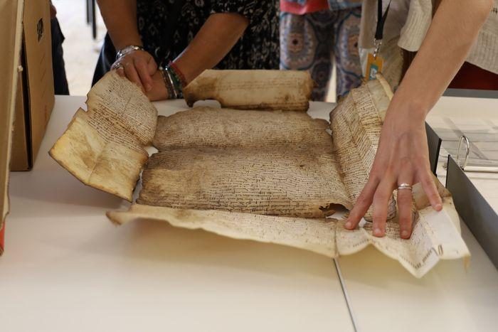 Atelier "La conservation en action"