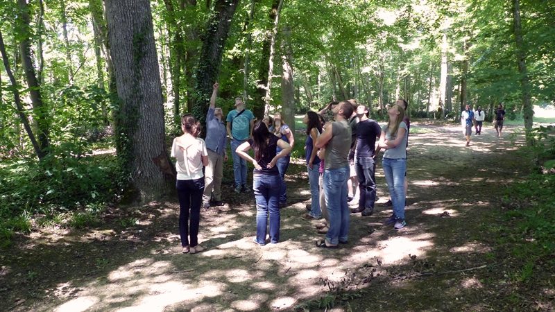 Identification  et écologie acoustique des Chiroptères, niveau 2