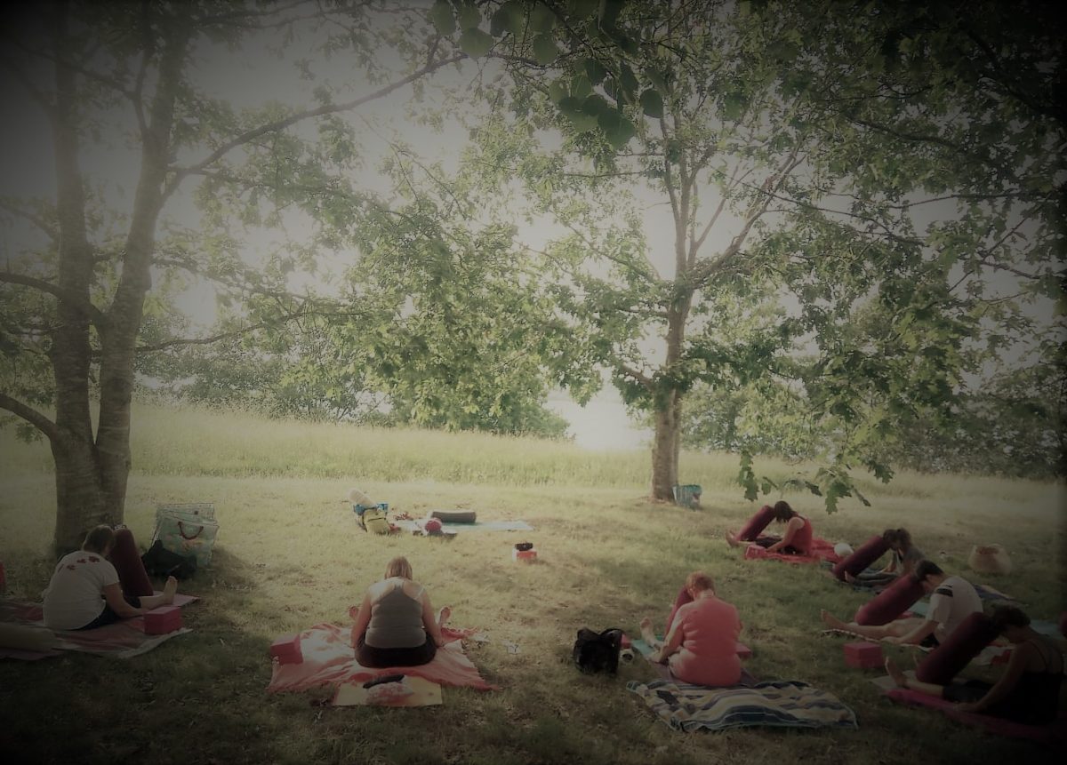 Yoga au lac d'Arjuzanx
