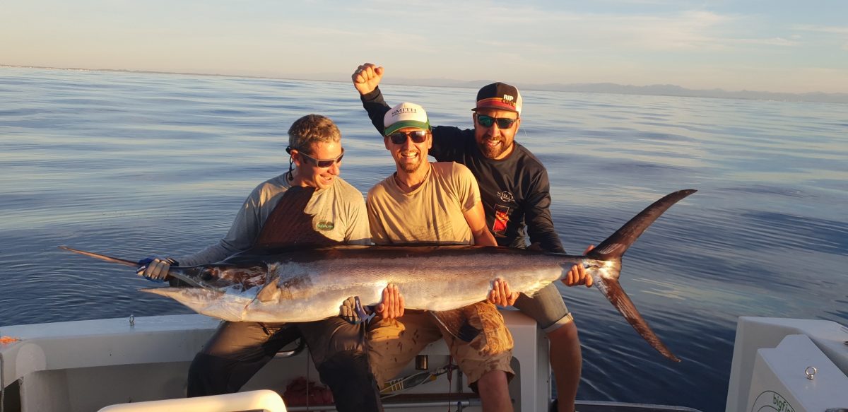 Bigfishs