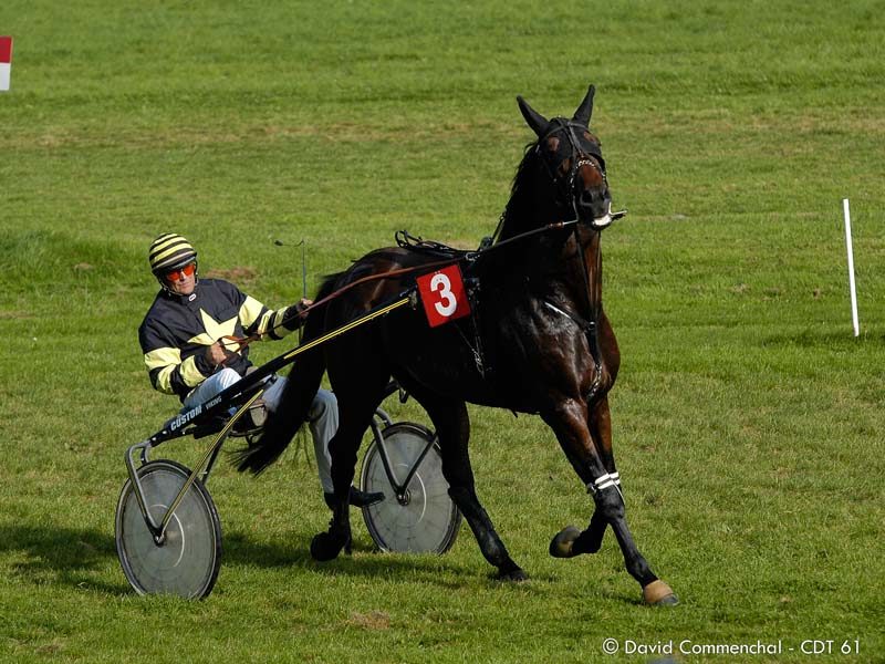 Hippodrome du Parc