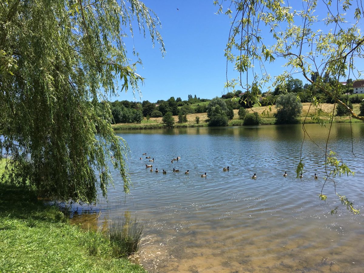 Lac de l'Y