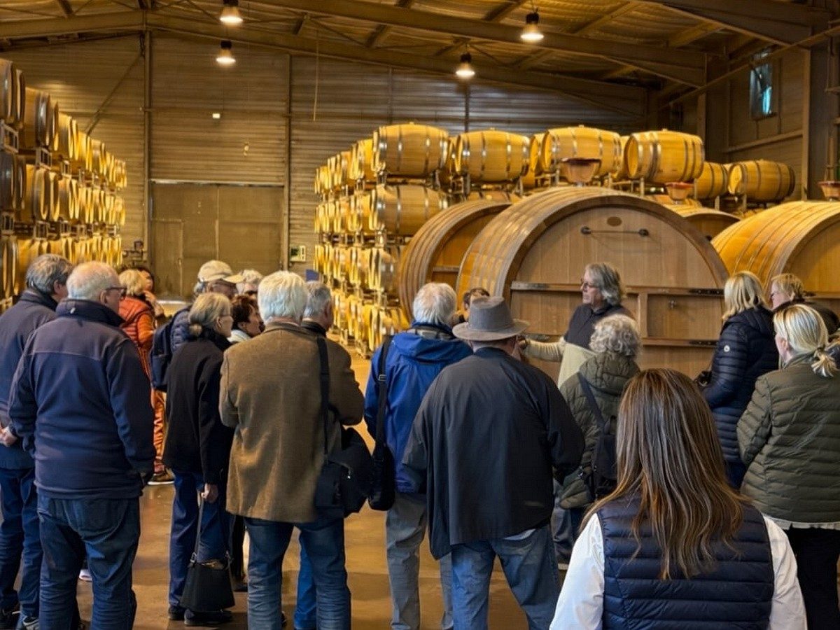 LES MARDIS DE CASTELMAURE